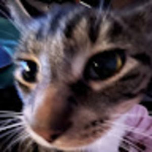 Meet your Posher, Pookie